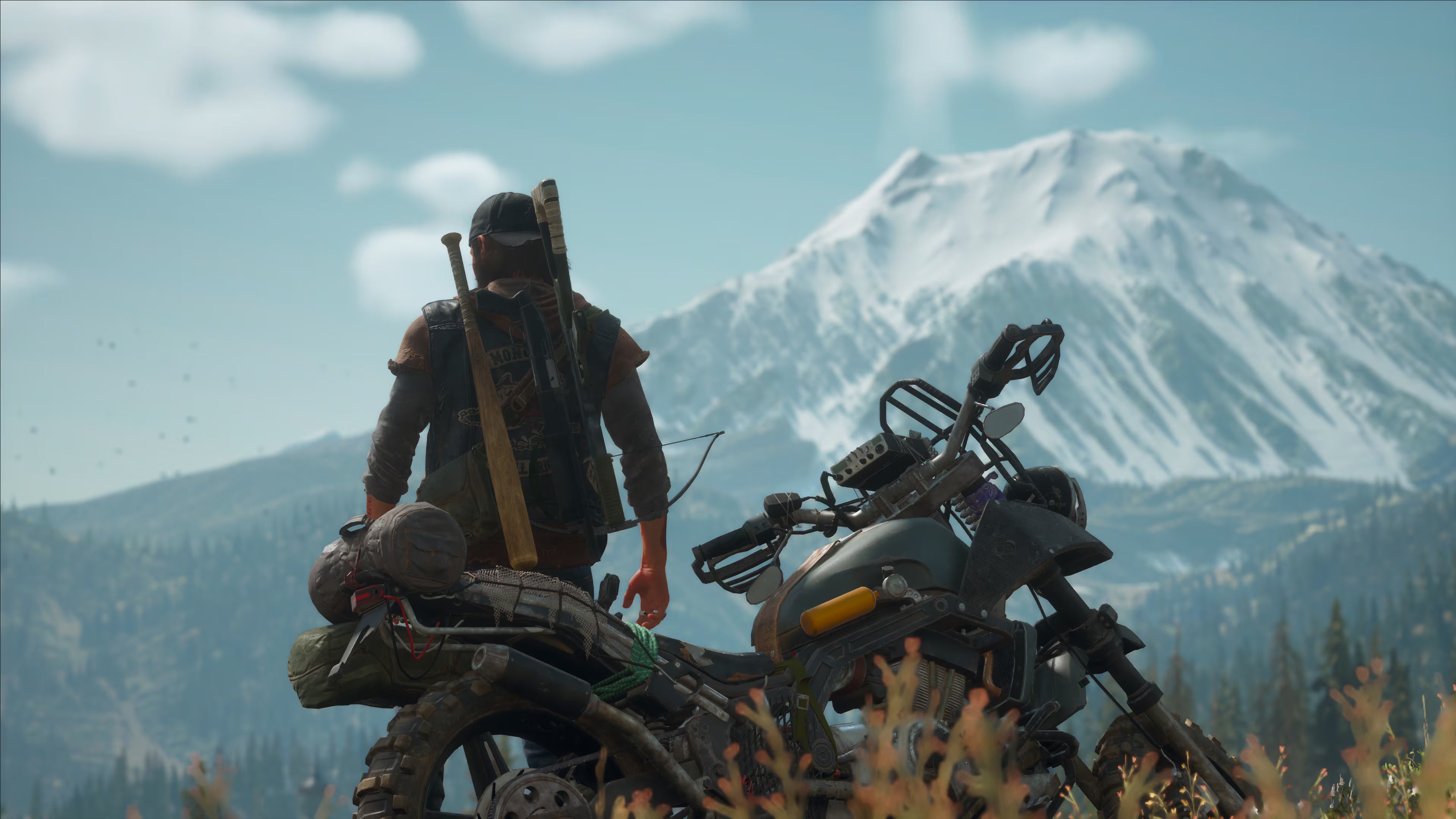 Days Gone - PS4 - RELACRADO