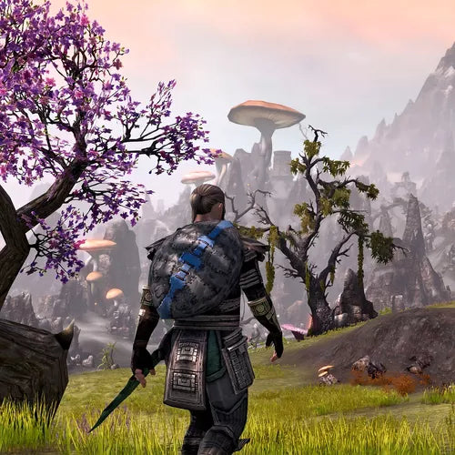 Jogo The Elder Scrolls Online: Tamriel Unlimited - Xbox One USADO