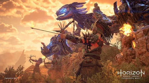 Horizon Forbidden West Special Edition (Físico) (SEMINOVO RELACRADO)