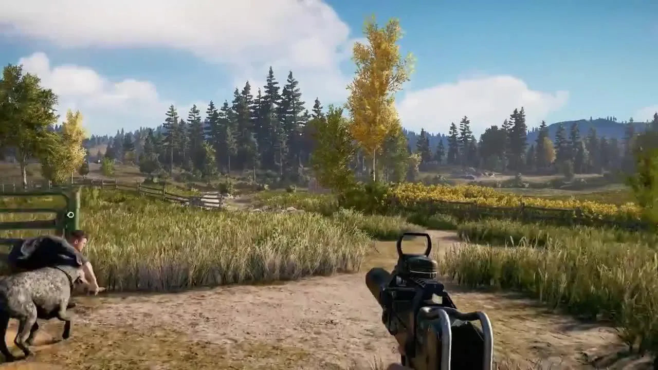 Far Cry 5 playstation4 (Usado)