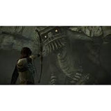 Shadow of the colossus-PS4-USADO