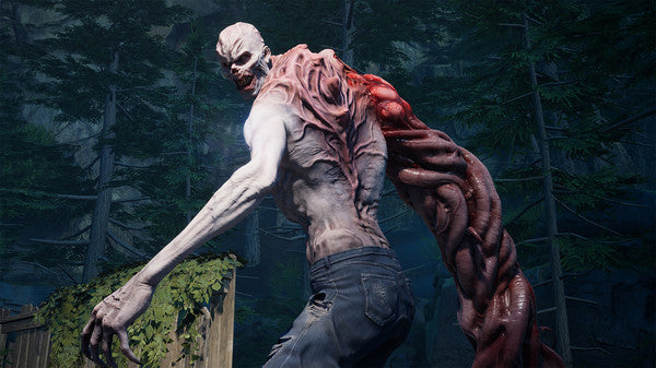 Back 4 Blood - PS5 (USADO)
