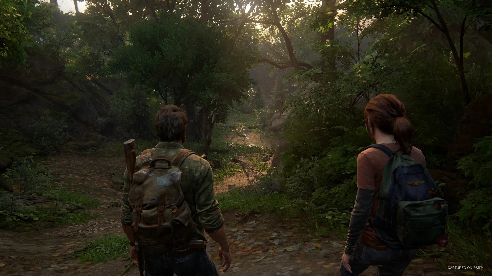 The Last Of Us Part 1 PS3 Usado